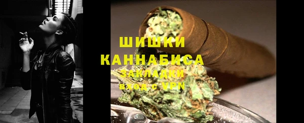 прущие крисы Новозыбков