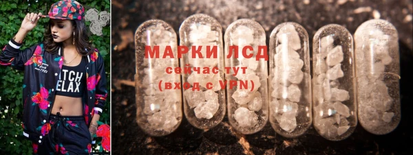 прущие крисы Новозыбков
