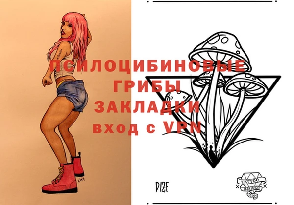 меф Новодвинск