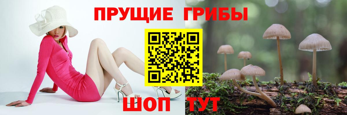 Аксай  что такое наркотик  Галлюциногенные грибы мицелий  Вход с VPN  Галлюциногенные грибы ЛСД 